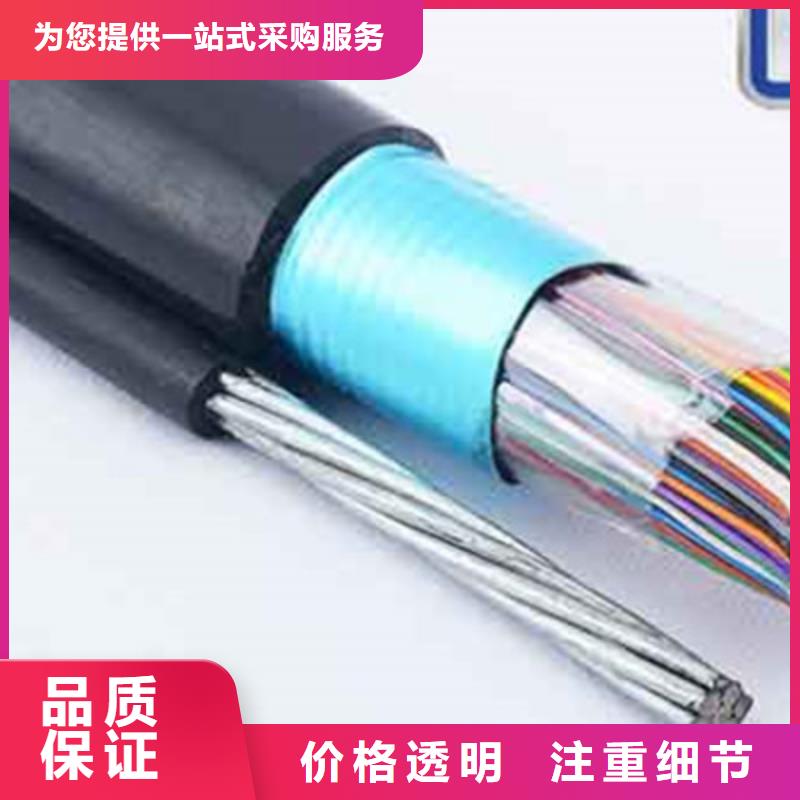 质量三包(电缆)1419A通讯电缆厂家价格