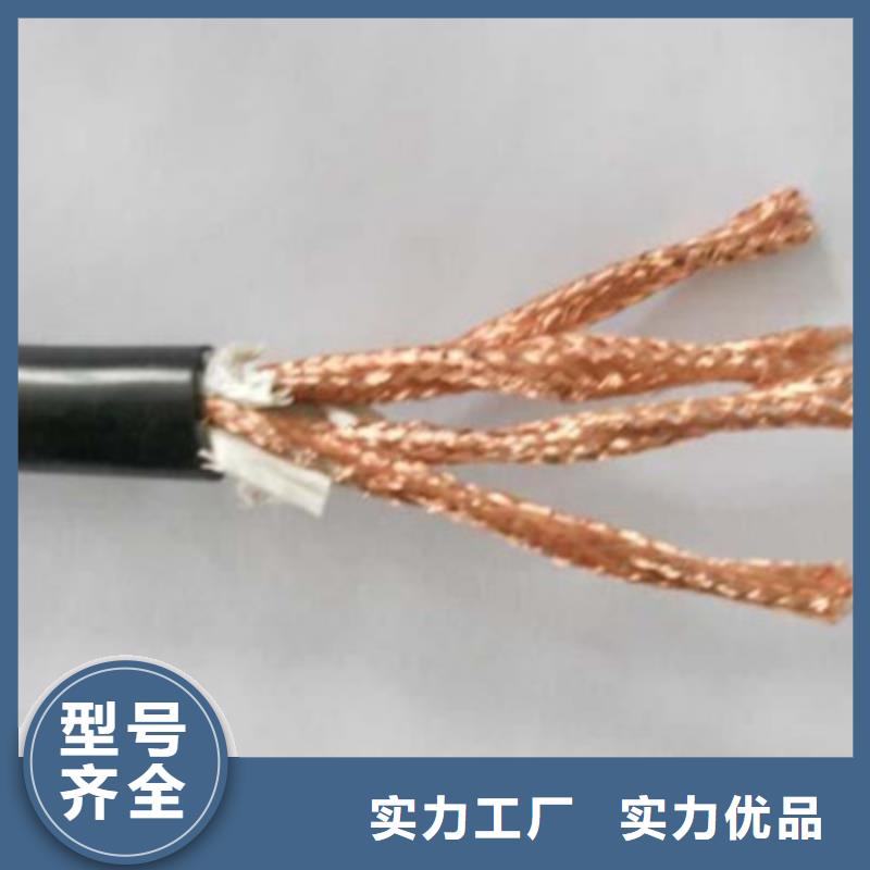 耐火计算机电缆NH-DJVP3V30X2X1.0