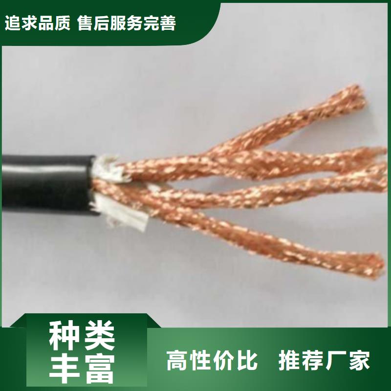 耐火计算机电缆NH-DJYJP2VP214X2X1.0