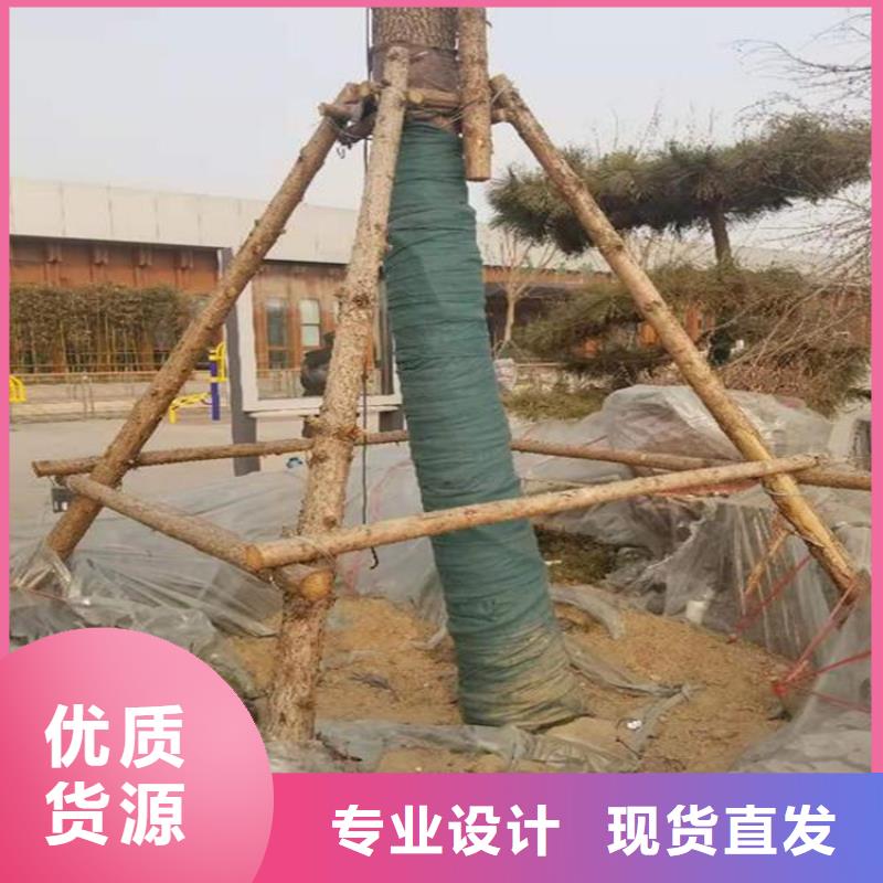 发货及时(鼎诺)裹树布,HDPE土工膜现货交易