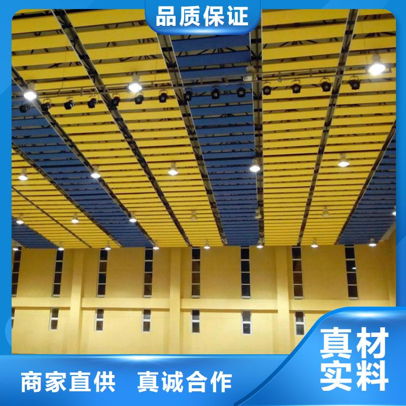 广东省珠海市白藤街道集团公司体育馆吸音改造方案--2024最近方案/价格