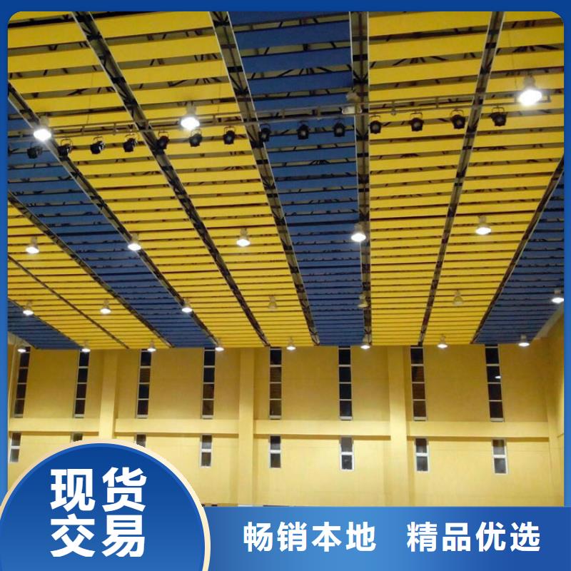 陕西省定制《凯音》太白县乒乓球馆体育馆吸音改造方案--2024最近方案/价格
