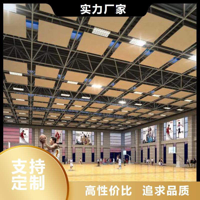 江西省库存充足[凯音]信丰县篮球馆体育馆声学改造价格--2024最近方案/价格