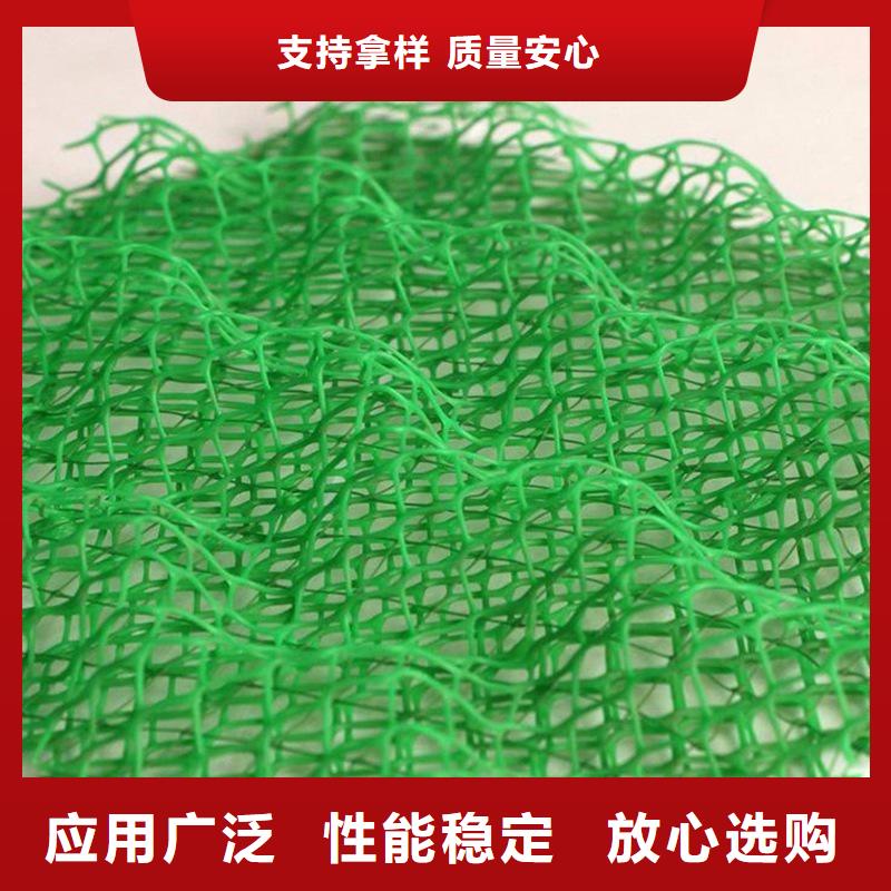 多年行业积累【金鸿耀】定做塑料三维植被网的厂家