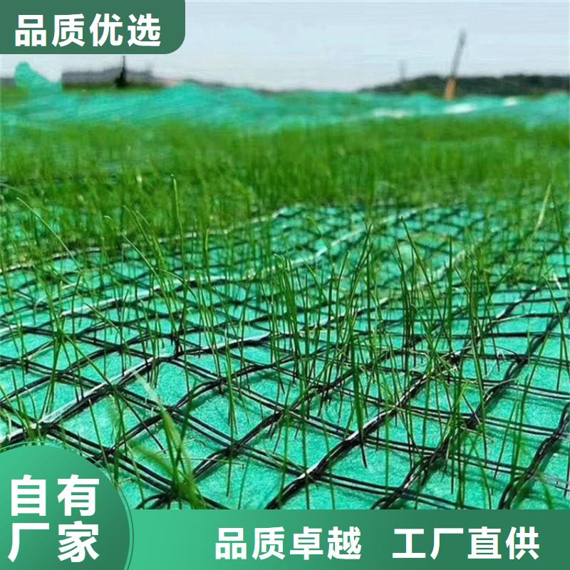 椰丝植物纤维毯-绿化毯-稻草植物纤维毯
