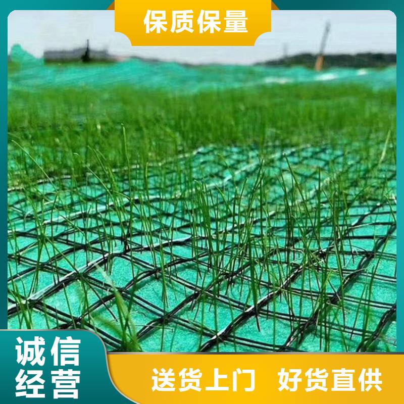 生态环保草毯-椰纤植生毯加固-边坡防护