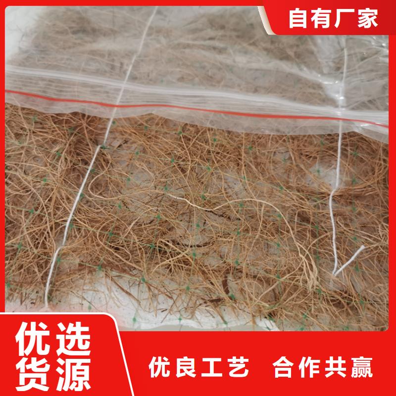 植物纤维毯-草种抗冲生物毯_鼎诺土工材料