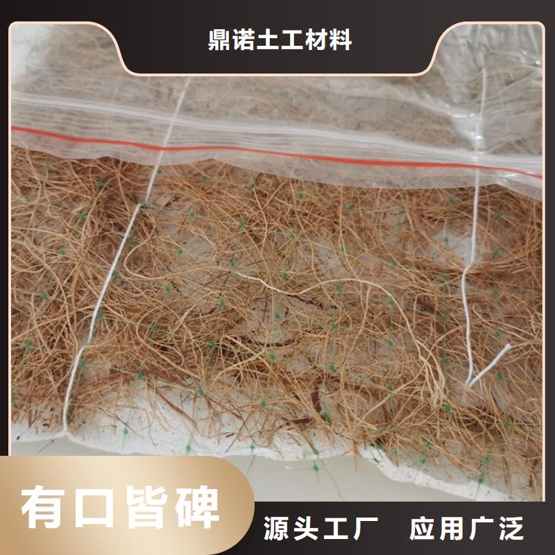 【椰丝毯土工布专业的生产厂家】-附近(鼎诺)