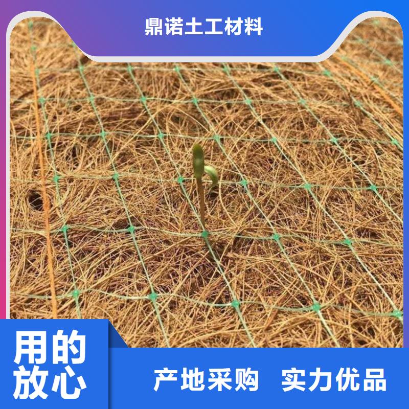 秸秆植物纤维毯-稻草植生毯