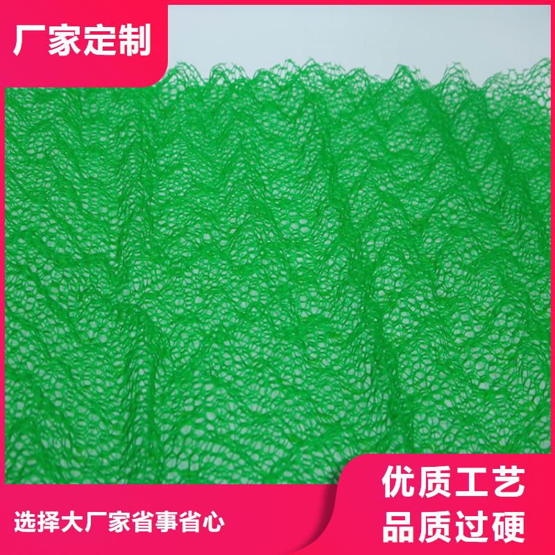 甄选：三维土工网垫环保边坡-鼎诺土工材料