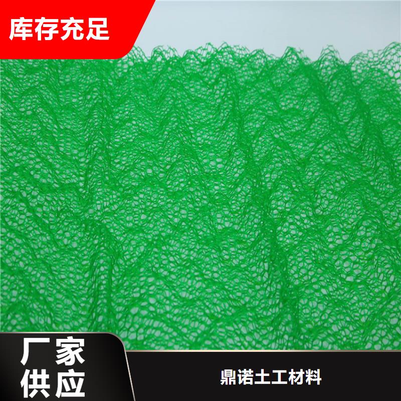 三维加筋网垫-EM2三维植被网