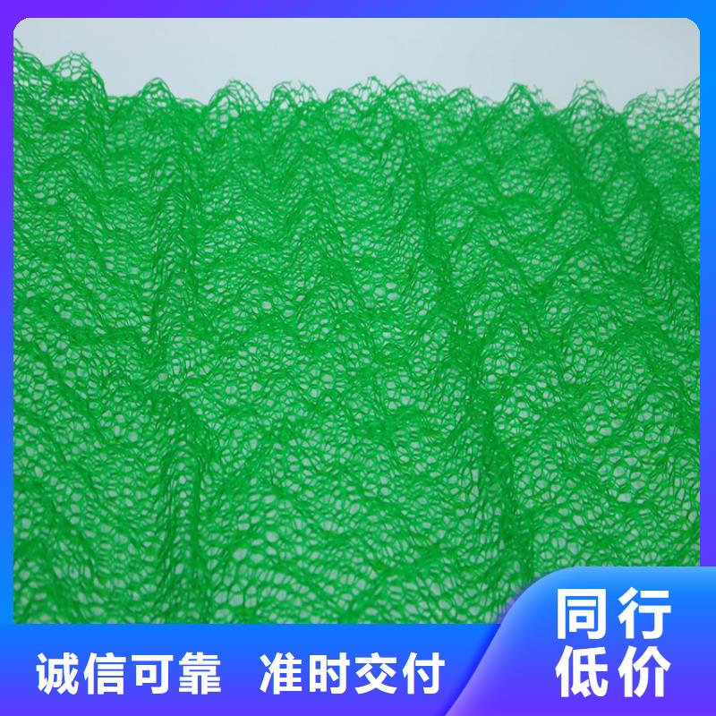 订购《鼎诺》三维土工网垫-EM3三维加筋网垫