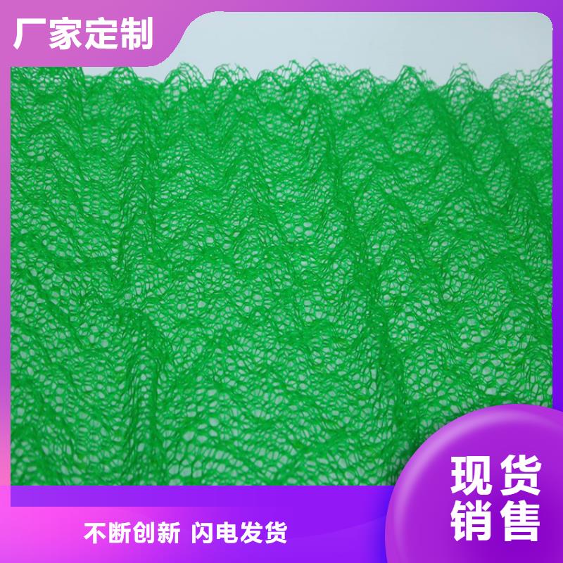 三维土工网垫-三维加筋网垫