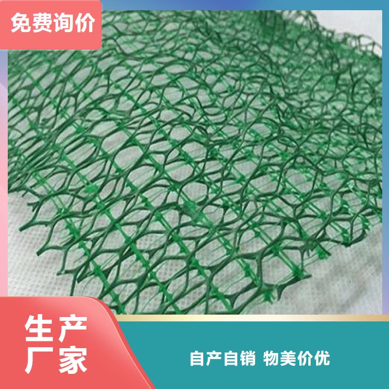 甄选：三维土工网垫环保边坡-鼎诺土工材料