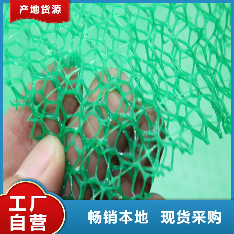 EM4三维固土网垫-三维植被网