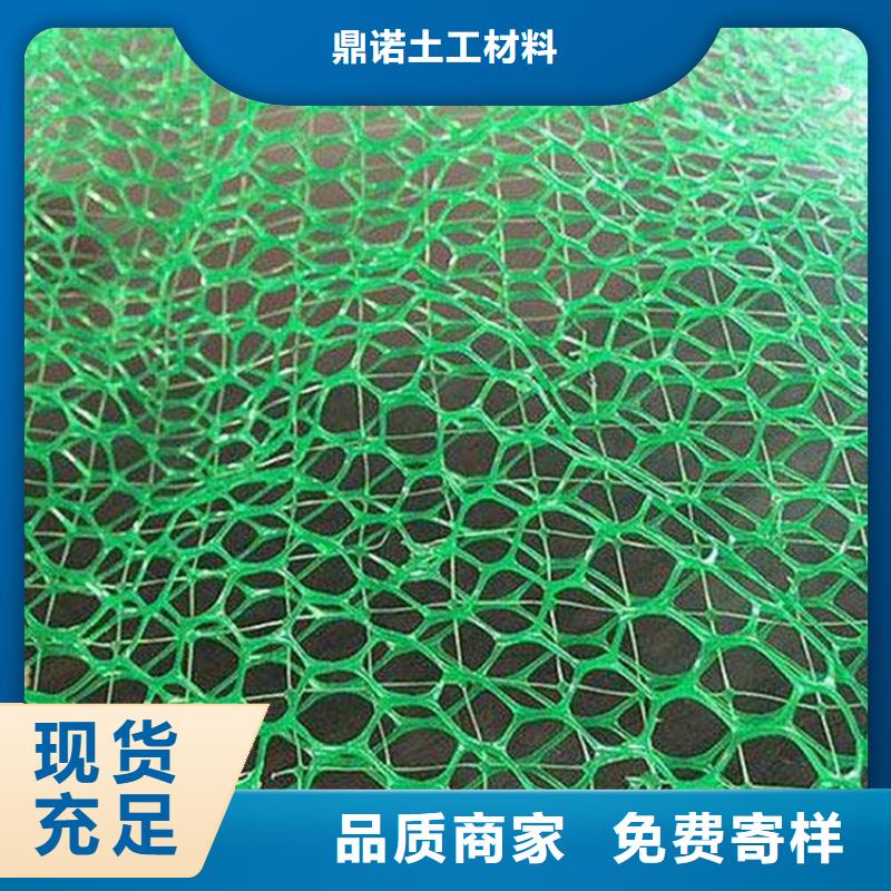 三维土工网垫-边坡三维土工网垫