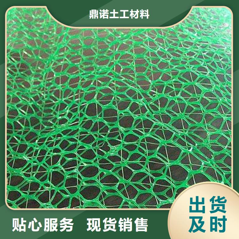 加筋塑料三维植被网
