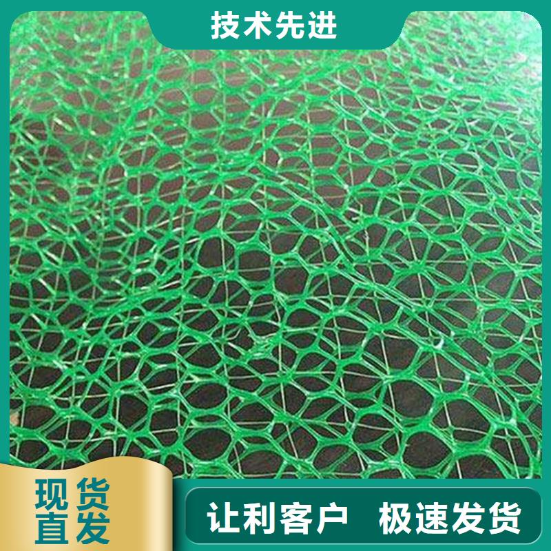 三维植被网防水板价格有优势