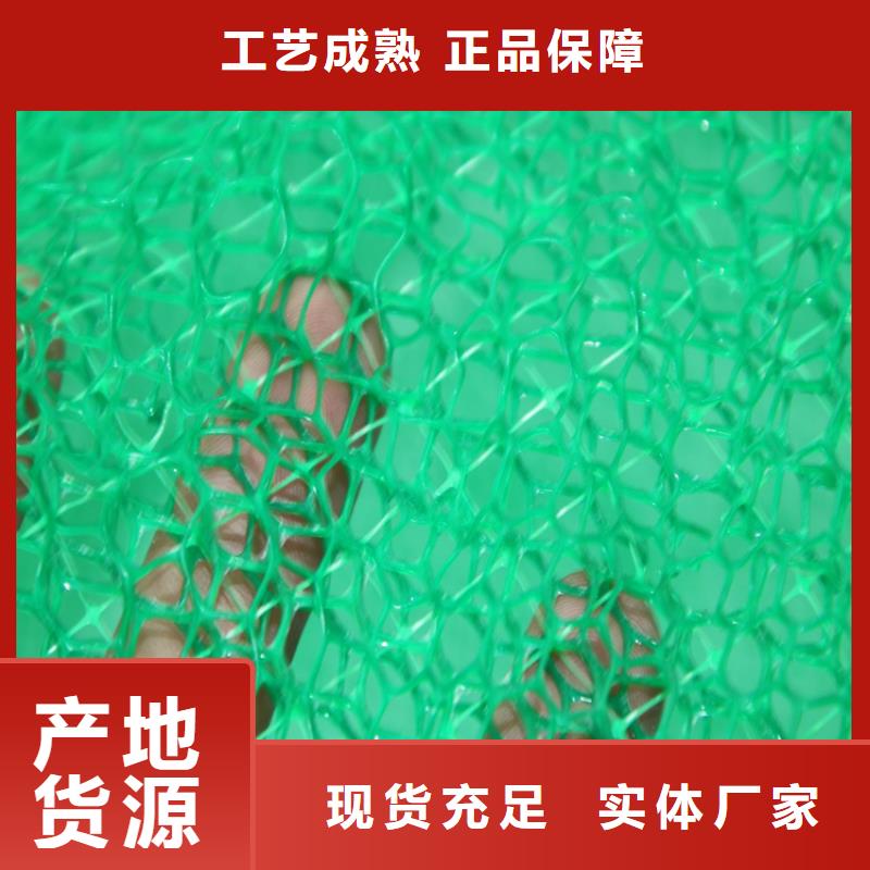 塑料边坡三维植被网
