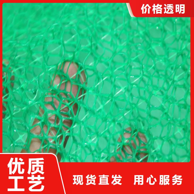 加筋塑料三维植被网