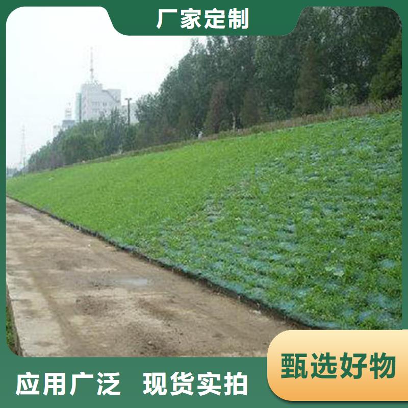 绿化边坡三维加筋土工网垫