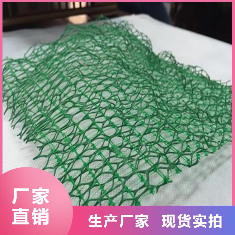 护坡加筋网垫-加筋三维植被网参数性能