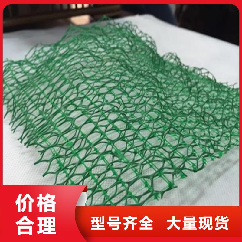 塑料绿化三维植被网