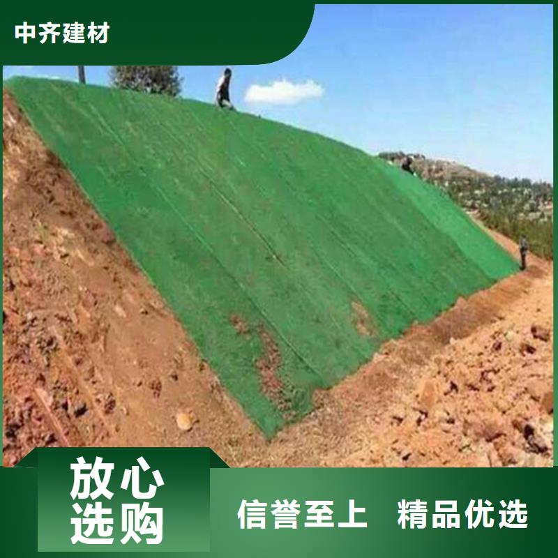 绿化边坡三维加筋土工网垫