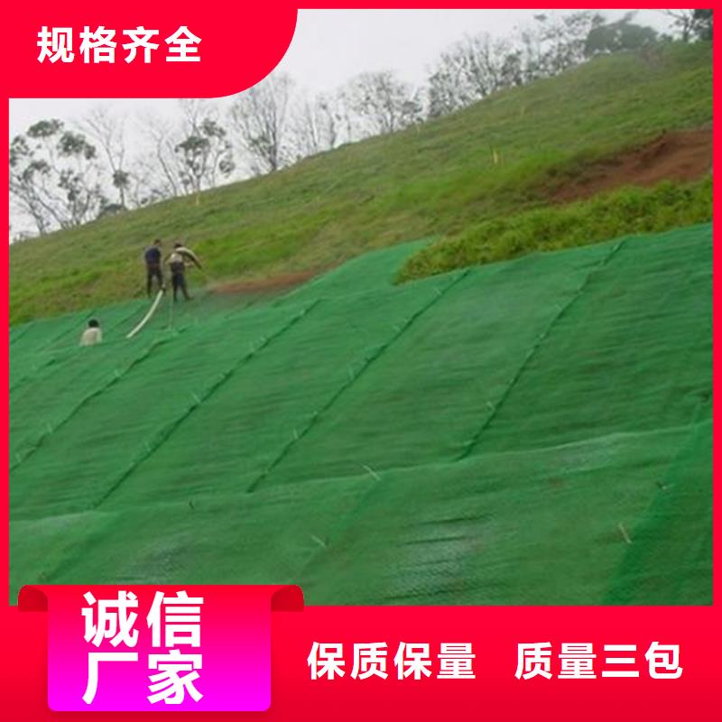 绿化边坡三维护坡加筋网垫