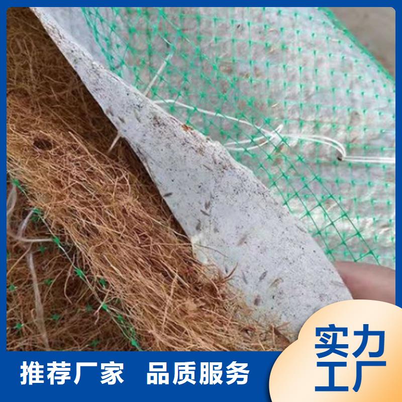 《亳州》直供植生椰丝毯-植物生态防护毯