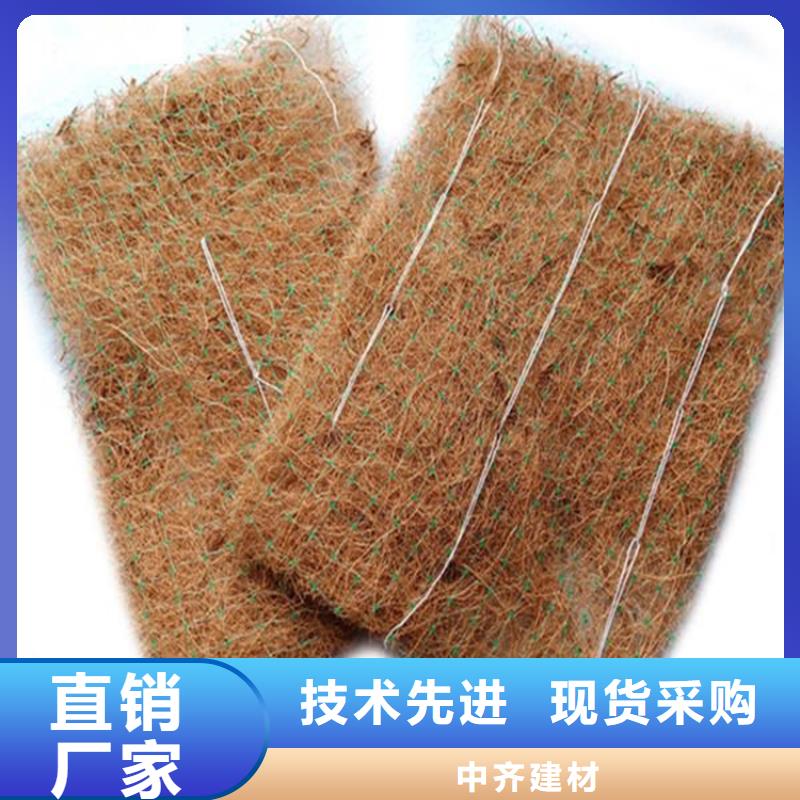 椰纤植生毯-加筋抗冲生态毯| 本地 生产商