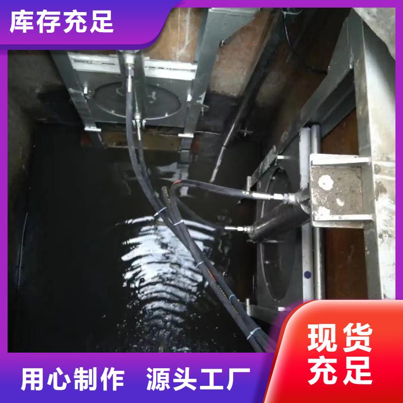 四川订购《瑞鑫》三台县污水泵站闸门