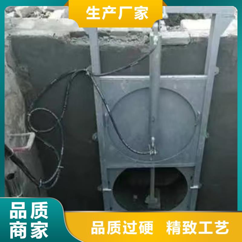 本地[瑞鑫]污水泵站闸门品种齐全的厂家
