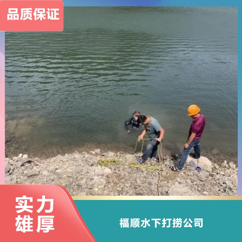 重庆市沙坪坝区水库打捞溺水者

打捞服务
