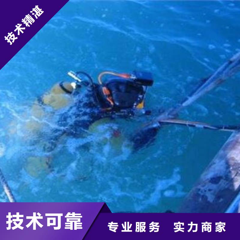重庆市巴南区水下打捞貔貅
本地服务