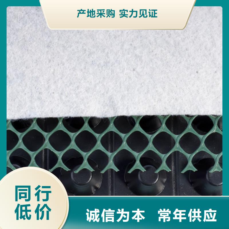{朋联}:蓄排水板价格-免费寄样专业生产N年-
