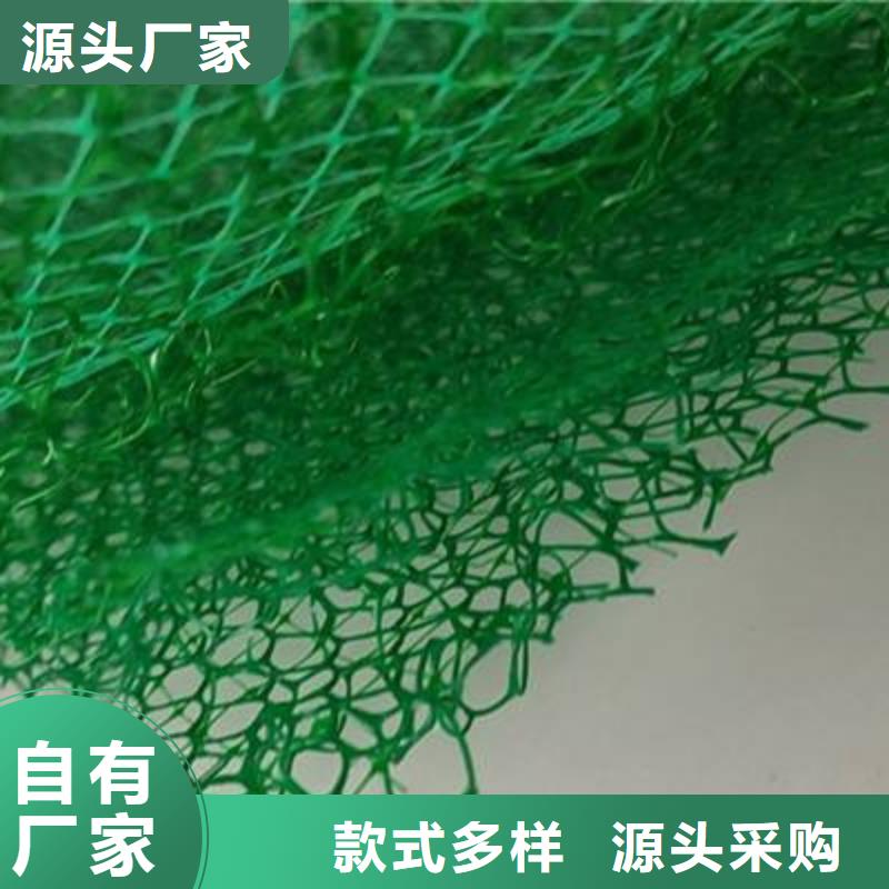 【周边(朋联)三维植被网,排水板产品优势特点】