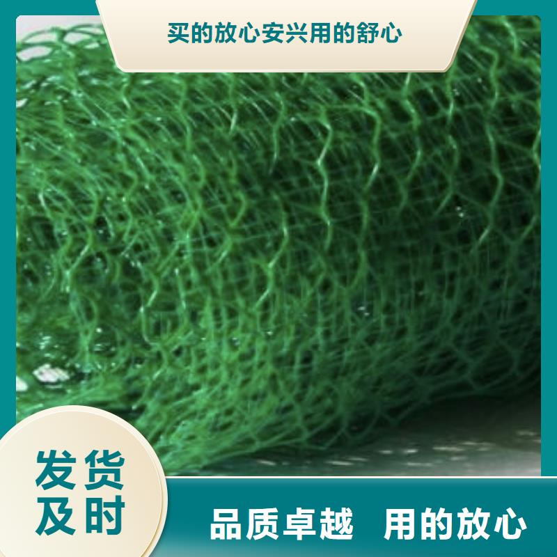 【周边(朋联)三维植被网,排水板产品优势特点】