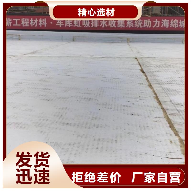 台州批发车库顶板排水板—厂家直供