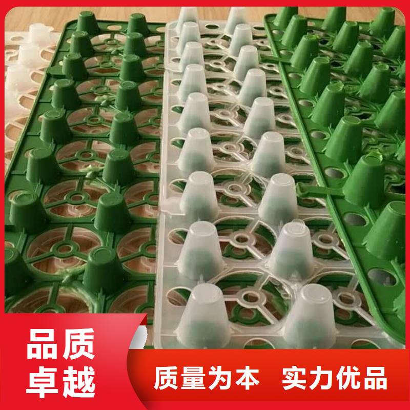 郑州现货凹凸型排水板-2023新价格