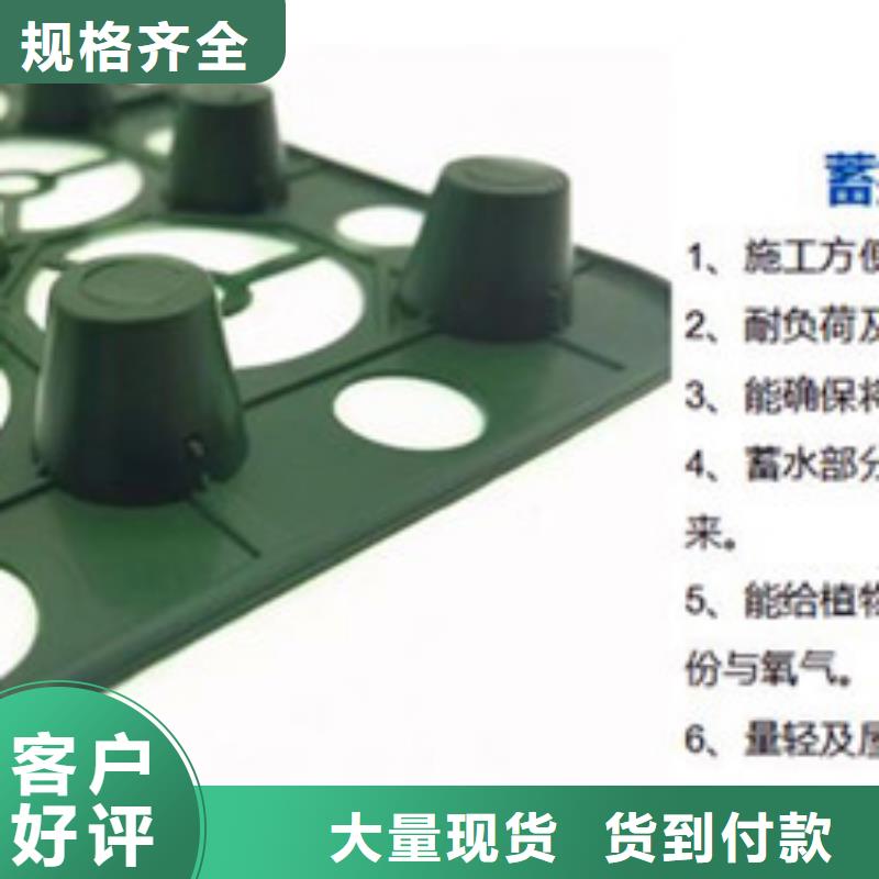 庆阳购买凹凸塑料排水板-五分钟前更新