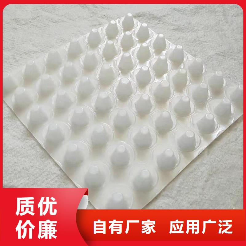 【衢州】批发塑料疏水板-价格更低