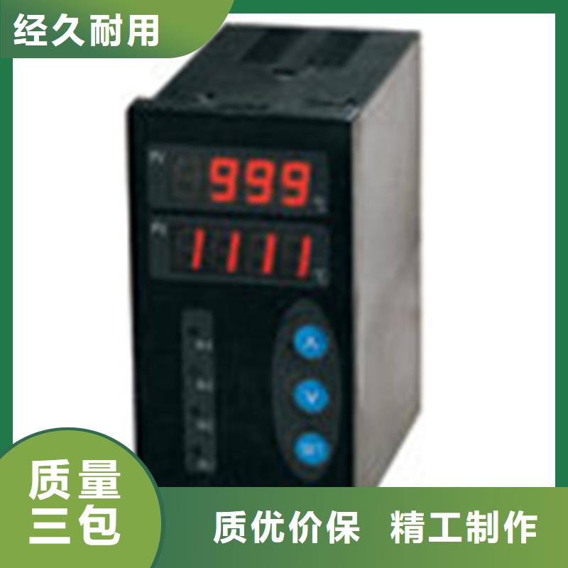 SWP-ASR306-1-1/P1品牌厂家价格优惠