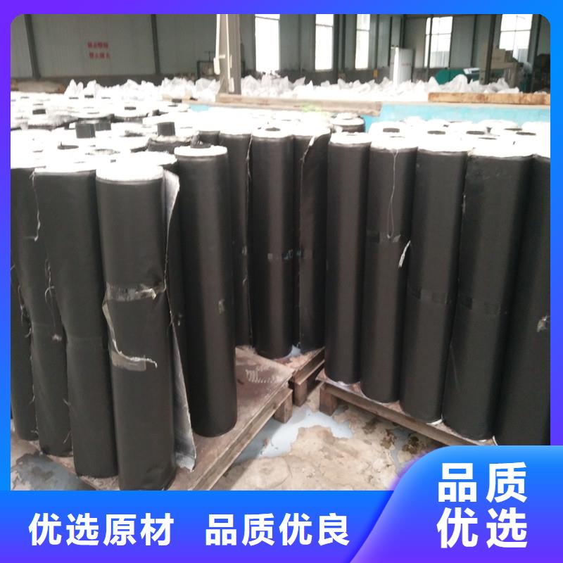 忻州定制钢塑焊接土工格栅源头厂家