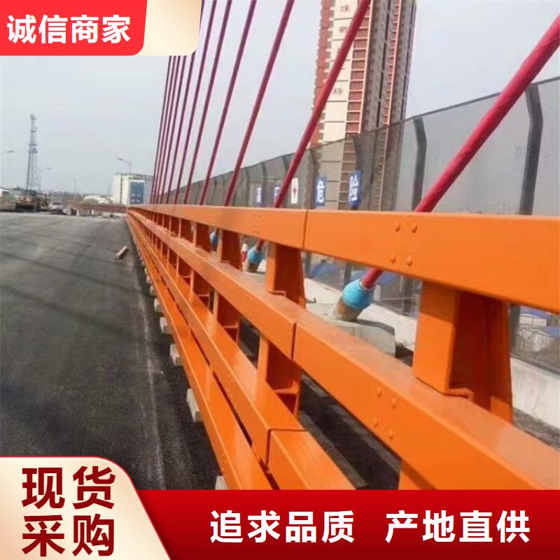 订购神龙桥梁钢护栏供应商