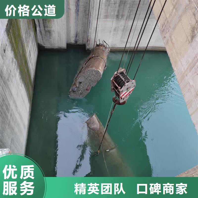 广东省深圳市南湖街道水下作业工程有哪些推荐厂家