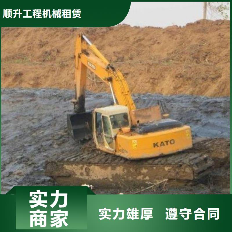【南阳】本地水挖机租赁施工案例