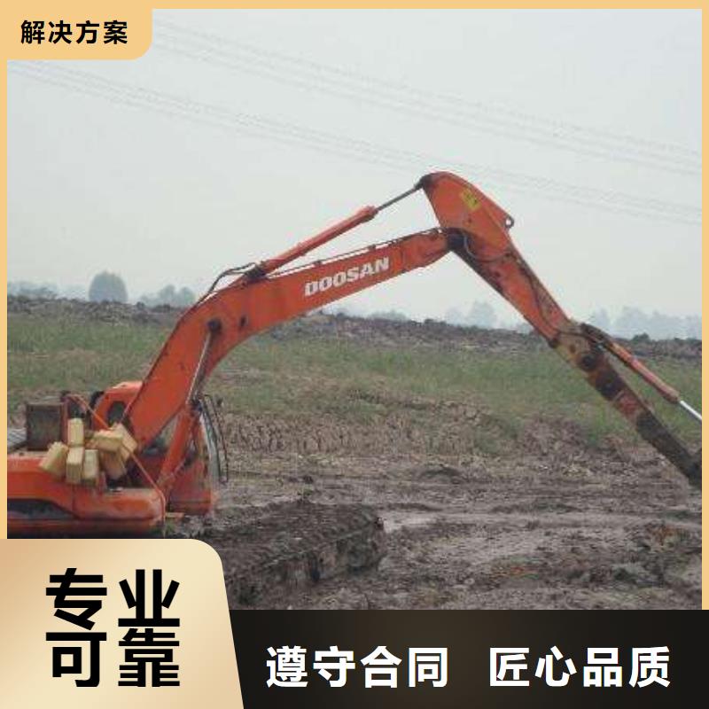 天津当地水陆挖掘机出租厂家加工