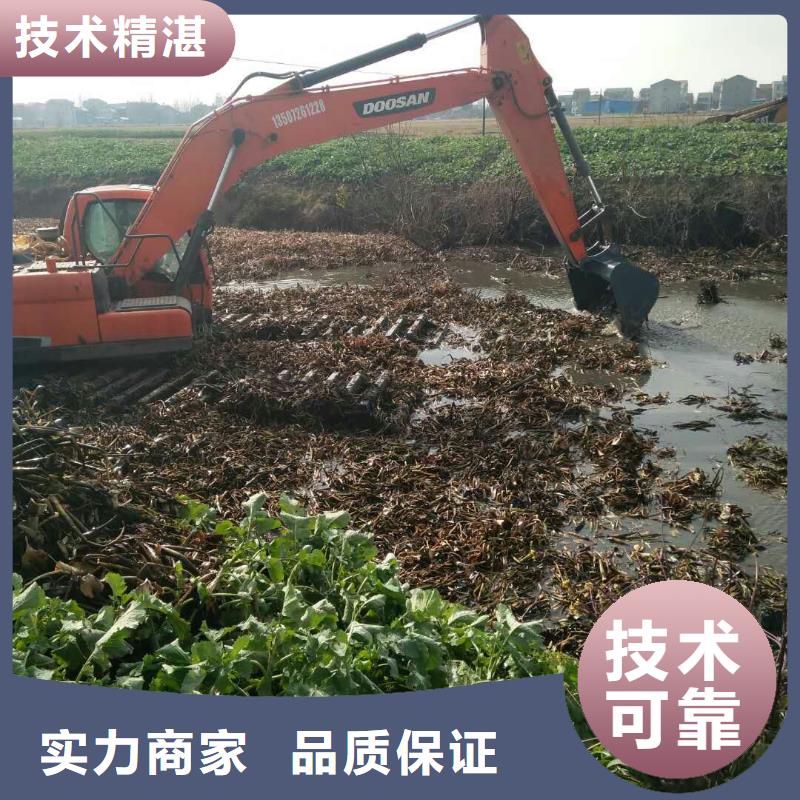 精英团队【顺升】
湿地水挖机固化厂家供应
