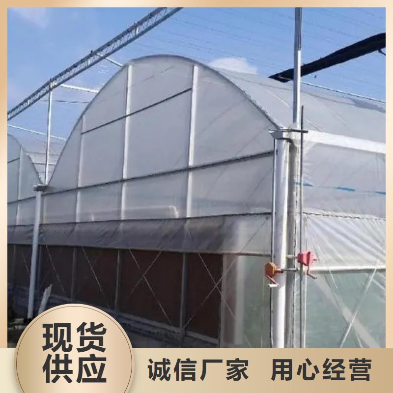 桂东县蓝莓大棚无滴膜价格优惠2023乡村振兴计划